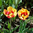 14.05.2017 �� ������� ���� ����������� (!) ��������)�