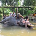 ���� �������, ����, 57 ��� - ��������� 15 ������ 2017 � ������ ���