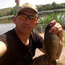 ���� �������, �����, 46 ��� - ��������� 5 ��� 2017