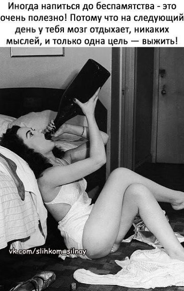  ,  .© - 13  2017  18:06