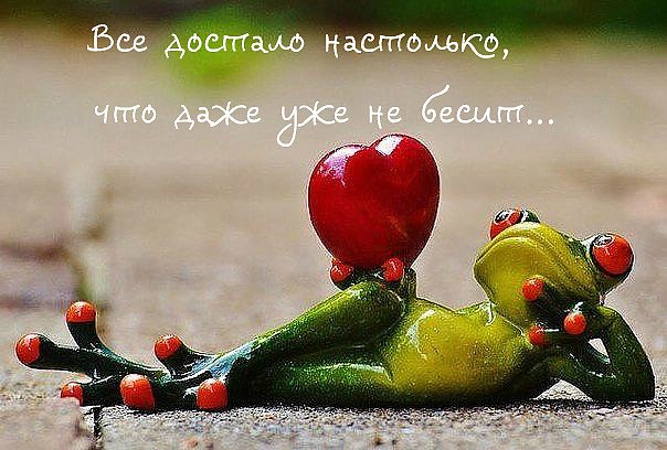 ***Victoria Viktorovna*** - 19  2017  17:38