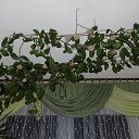 ���� ����, ������� ����� - ��������� 19 ���� 2017 � ������ ������ ��������