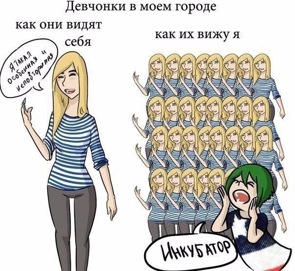   - 6  2017  13:43