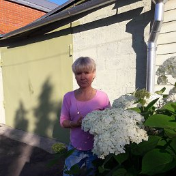 VERULIA, 54, 