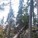  , - -  1  2017    2017, 