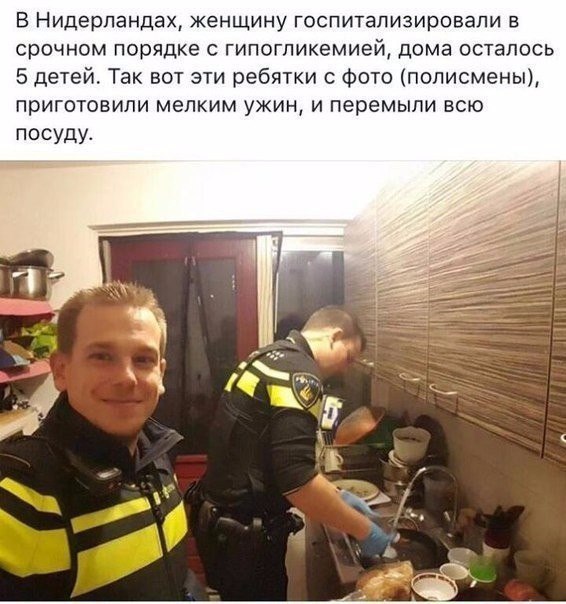 ,   ,    - 18  2017  17:55