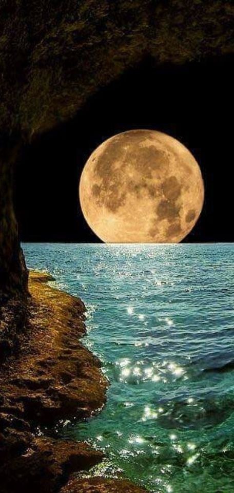   | Online  | , ,  - 14  2017  01:03 - 2