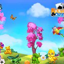  Surf, , 64  -  11  2017    -