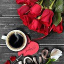 ���� ����, ������������, 55 ��� - ��������� 6 ������� 2017 � ������ ������ ��������