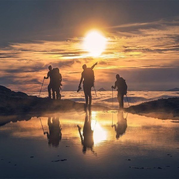  ,      ,      .   ...