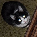 ���� ��������, ������ - ��������� 22 ������� 2017