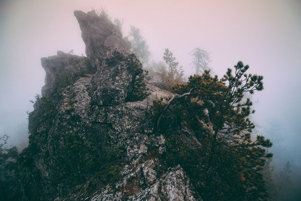 ������ ������ � ������, ��� ������� ����� ������ ����� ����� �������� � ���, ���� ������� ���� ... - 6