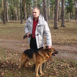 ������, ��������, 43 ����