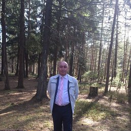 �����, ������, 62 ����