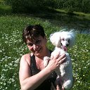 ���� ������, ���������, 55 ��� - ��������� 11 ���� 2017 � ������ ���� ����������