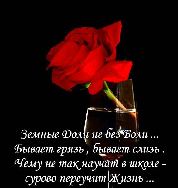 Не ошибается лишь тот, кто не живёт! Мы не безгрешны в этом странном мире, Проходит время - всё ...