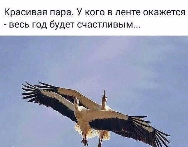 , ,  - 20  2017  11:59