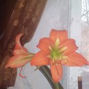 ���� �, ������ �����, 35 ��� - ��������� 24 ������ 2017