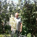 ���� �������, ��������, 61 ��� - ��������� 1 ������� 2017 � ������ ���� ����������