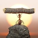 ���� ��������, ���������, 54 ���� - ��������� 7 ��� 2017 � ������ ���� ����������