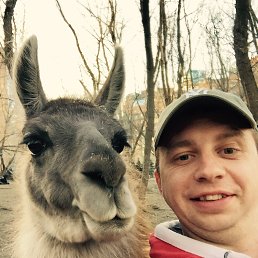 ���� �����, ������, 38 ��� - ��������� 14 ������� 2017