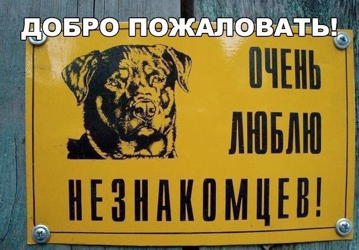 ������ - 17 ���� 2017 � 09:19