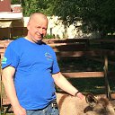  , -, 60  -  11  2017    