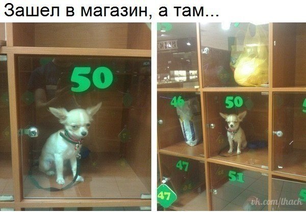  - 2  2017  03:37