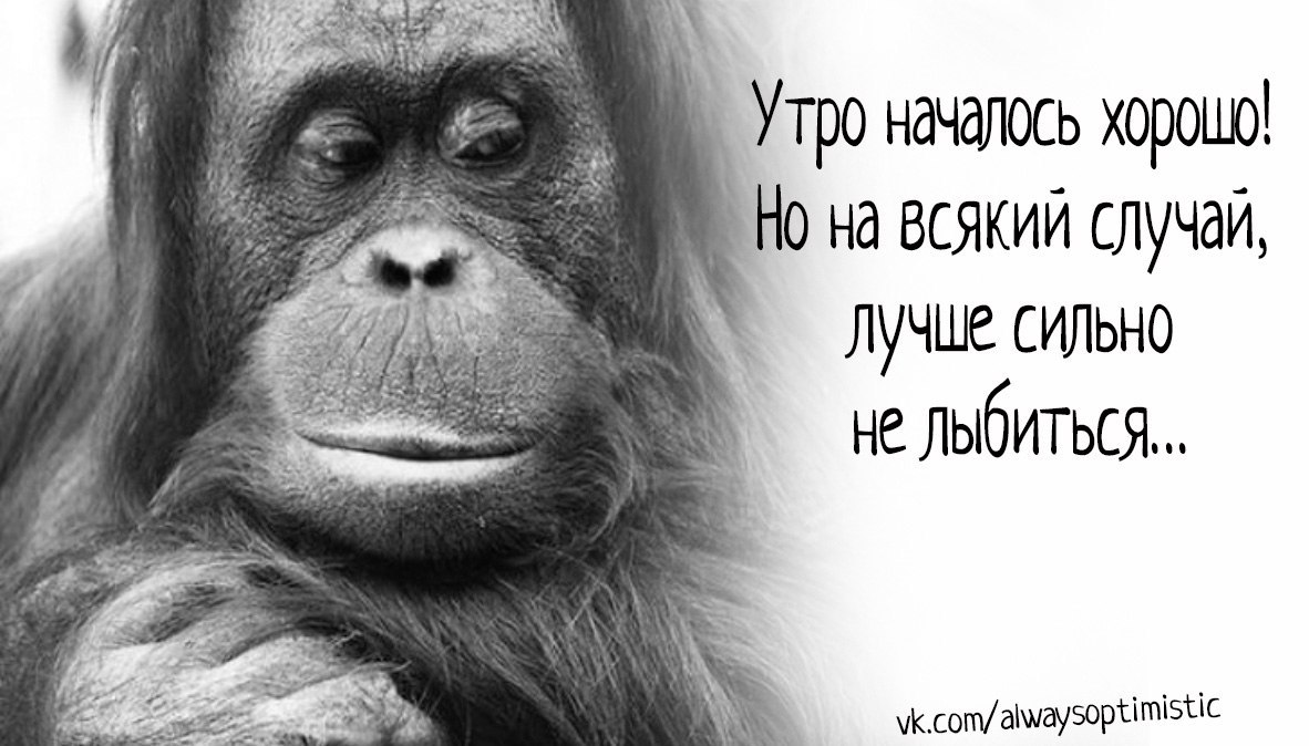      - 7  2017  08:05