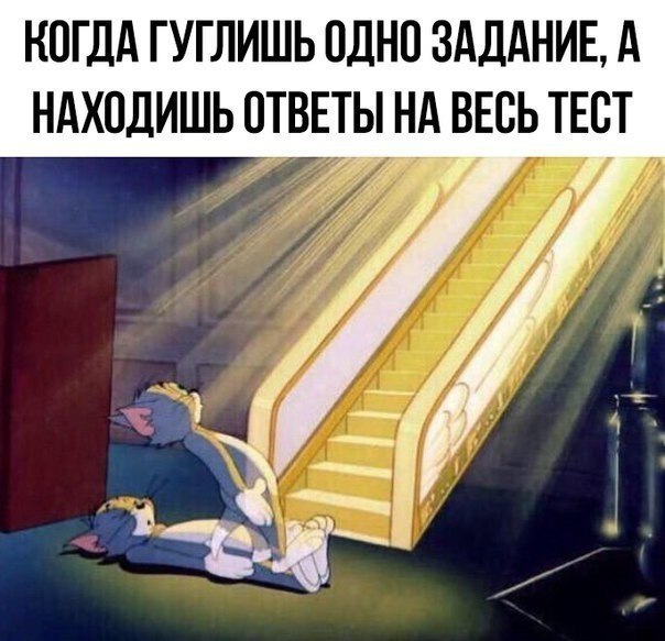    :D - 13  2017  21:22