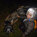  ,  -  18  2017   ...