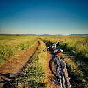���� �������� (2017) �� ������� �[Places]�