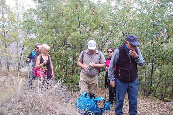 Pevril - 17 ������� 2017 � 09:18 - 15