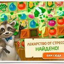 ���� ������, ���������, 53 ���� - ��������� 2 ������ 2017 � ������ ������ ��������