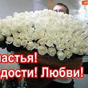 ���� ����, ����������, 73 ���� - ��������� 21 �������� 2017 � ������ ���� ����������