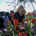 ���� �����, �������, 62 ���� - ��������� 13 ���� 2017 � ������ ������ ��������