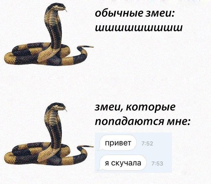    - 18  2017  22:11