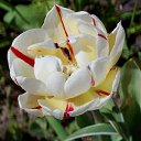 ��� ��������! 14.05.2017 �� ������� ���� ����������� (!) ��������)�