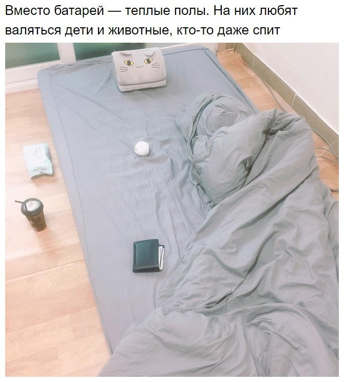 10 ,       . - 7