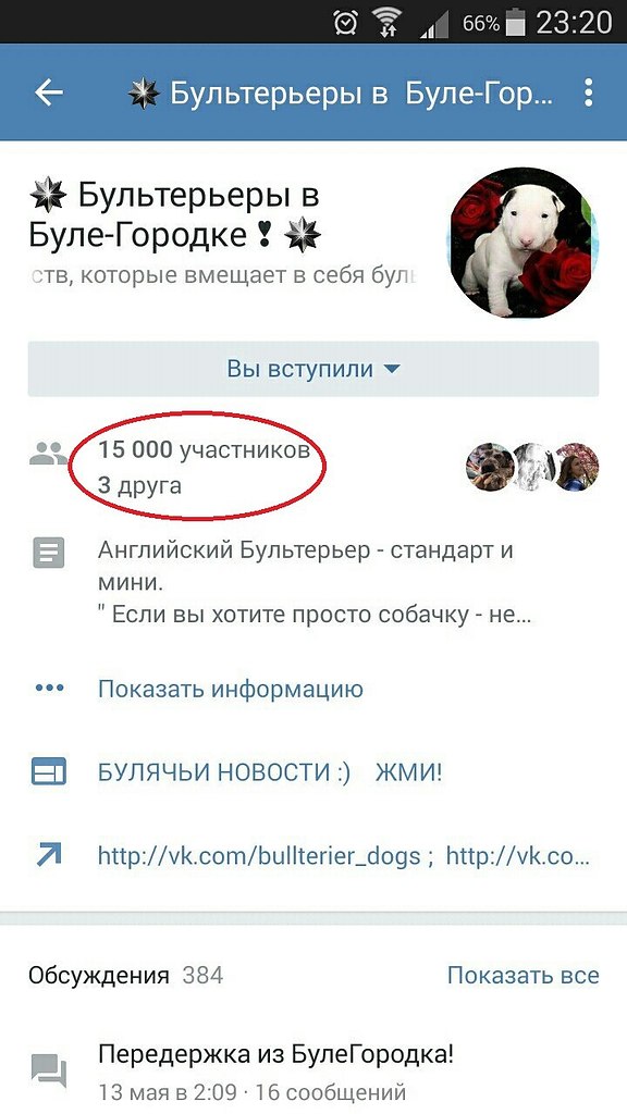Население Буле-Городка выросло до 15000 участников: бультерьеров, их булемам и булепап! Мы рады ...