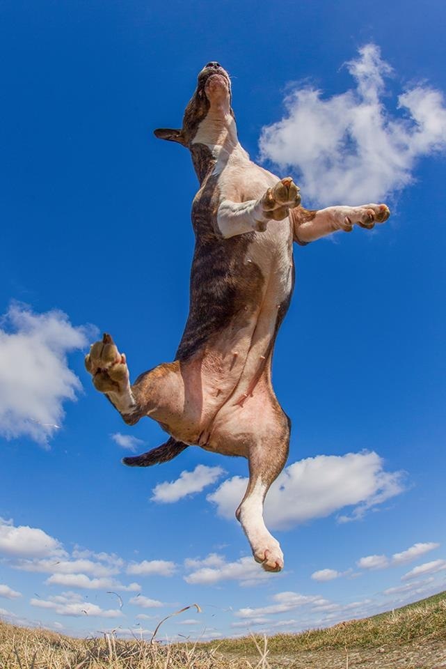 С пятничкой, ребятки