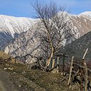 ���� Lilly, ����������� - ��������� 19 ��� 2017 � ������ ������ ��������