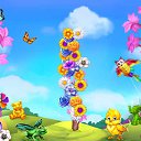 ���� ������, ���������, 71 ��� - ��������� 8 �������� 2017 � ������ �������� �������-�������