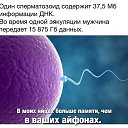 ���� �������, �����-���������, 55 ��� - ��������� 27 ���� 2017 � ������ �� �� ����, � �� � ���