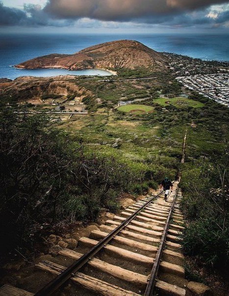  o ,  cec  p,  x  e. - 4