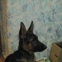 ���� �������, ������ ��������, 43 ���� - ��������� 27 ������� 2017 � ������ �Timeline Photos�