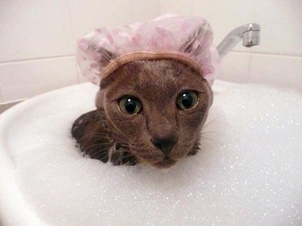 -.#@https://fotostrana.ru/away?to=/sl/XE2 - 3