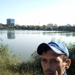 ���������, ���������, 41 ���