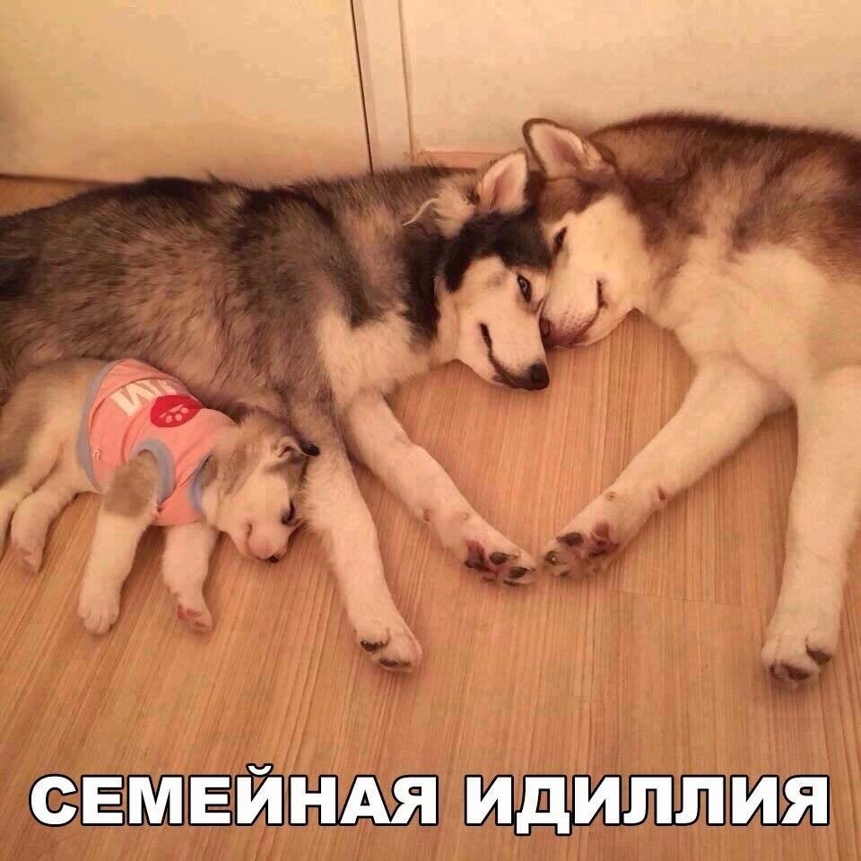    :D - 6  2017  04:31