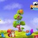  , , 79  -  21  2017    -